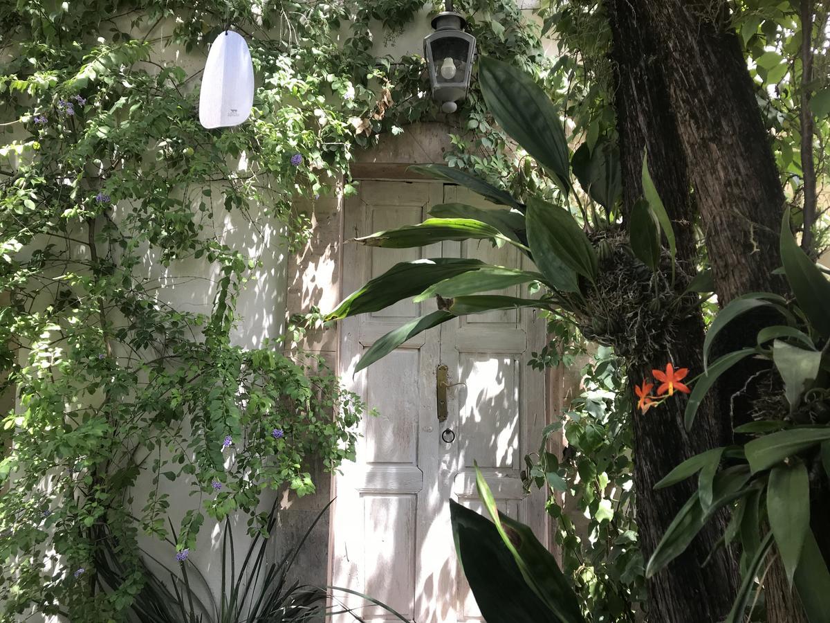 Hotel Fk San Miguel de Allende Bagian luar foto